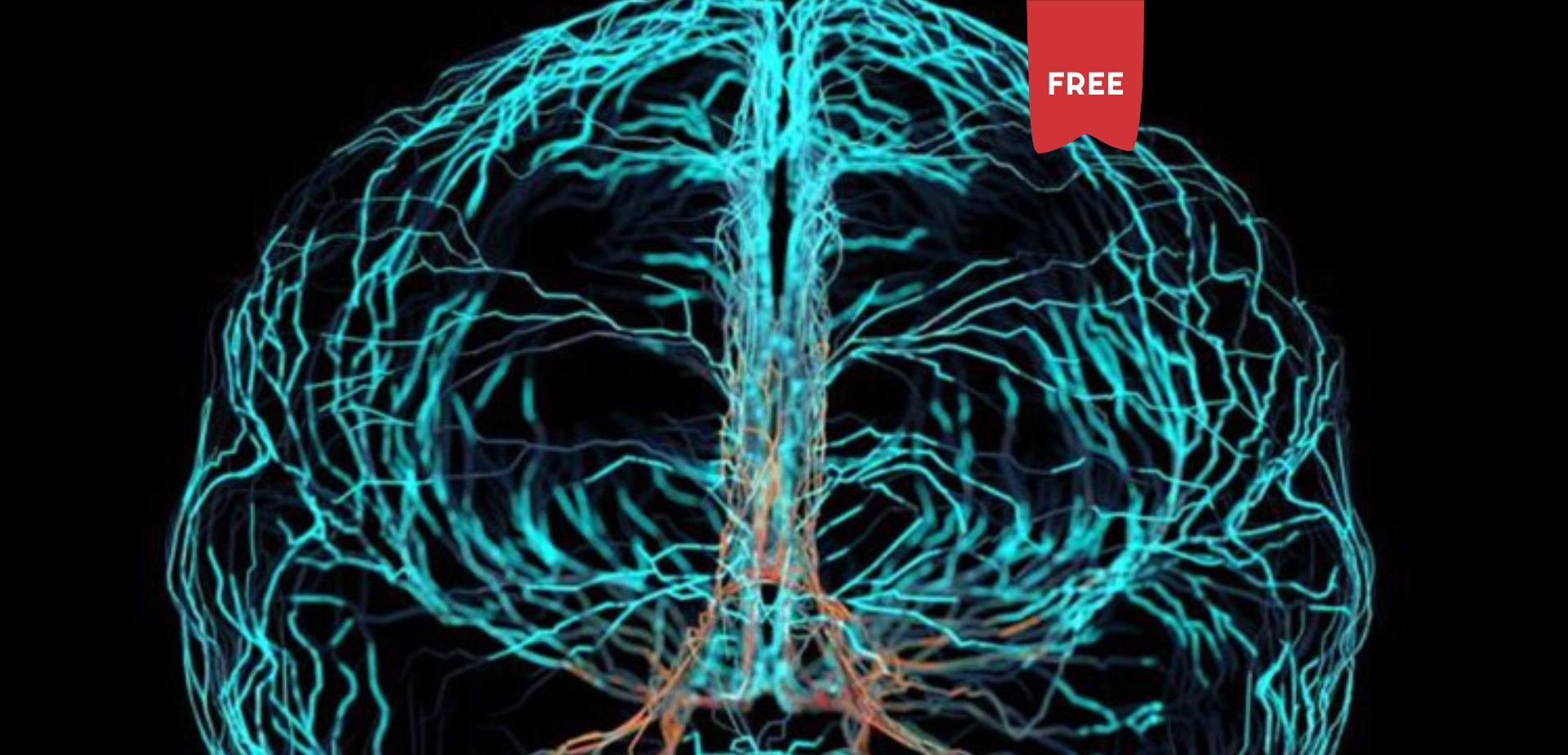 Envolvimento das reas cerebrais na atividade cognitiva intencional