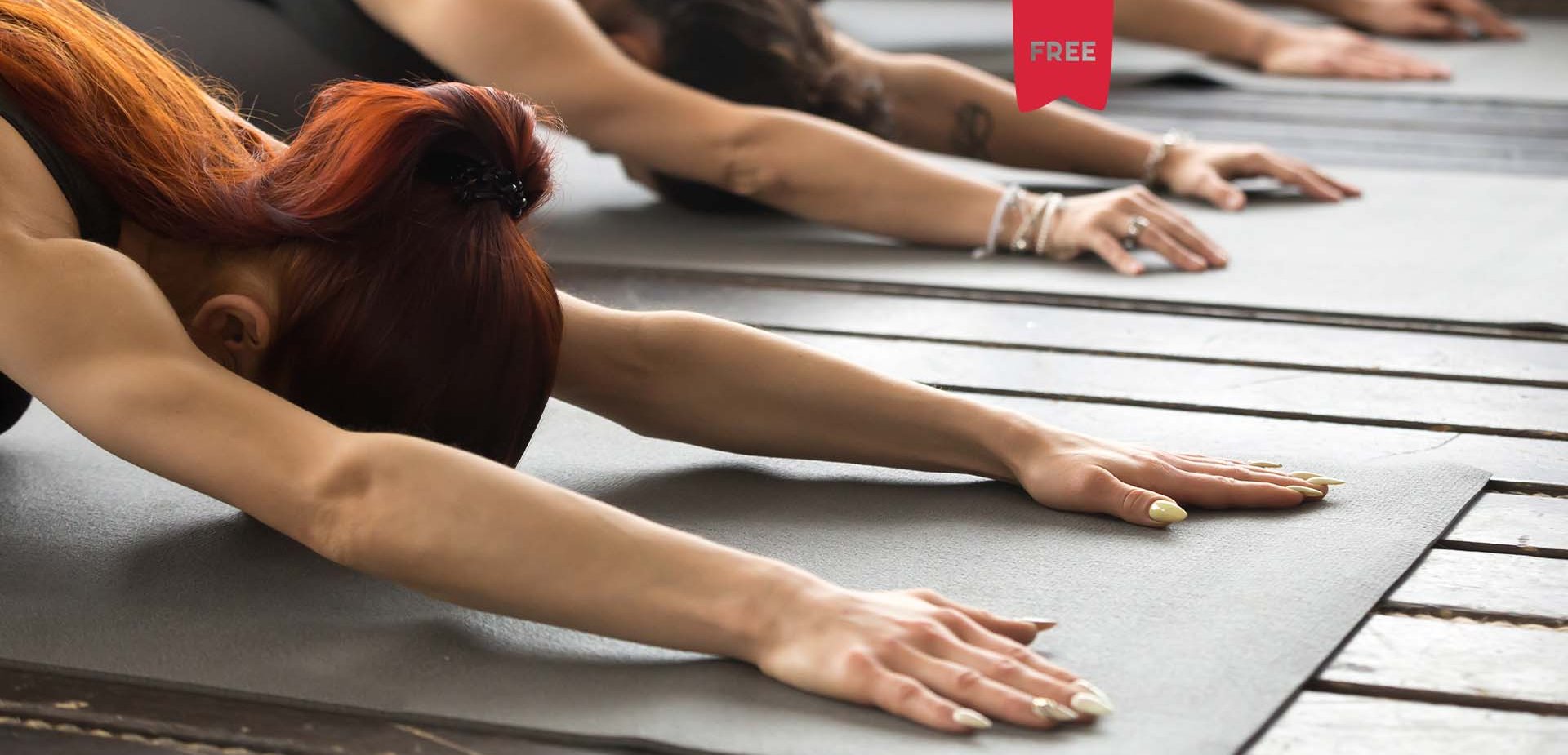 Efeitos da aplicao de um programa de exerccio de baixo custo na qualidade de vida de mulheres em tratamento do cancro da mama