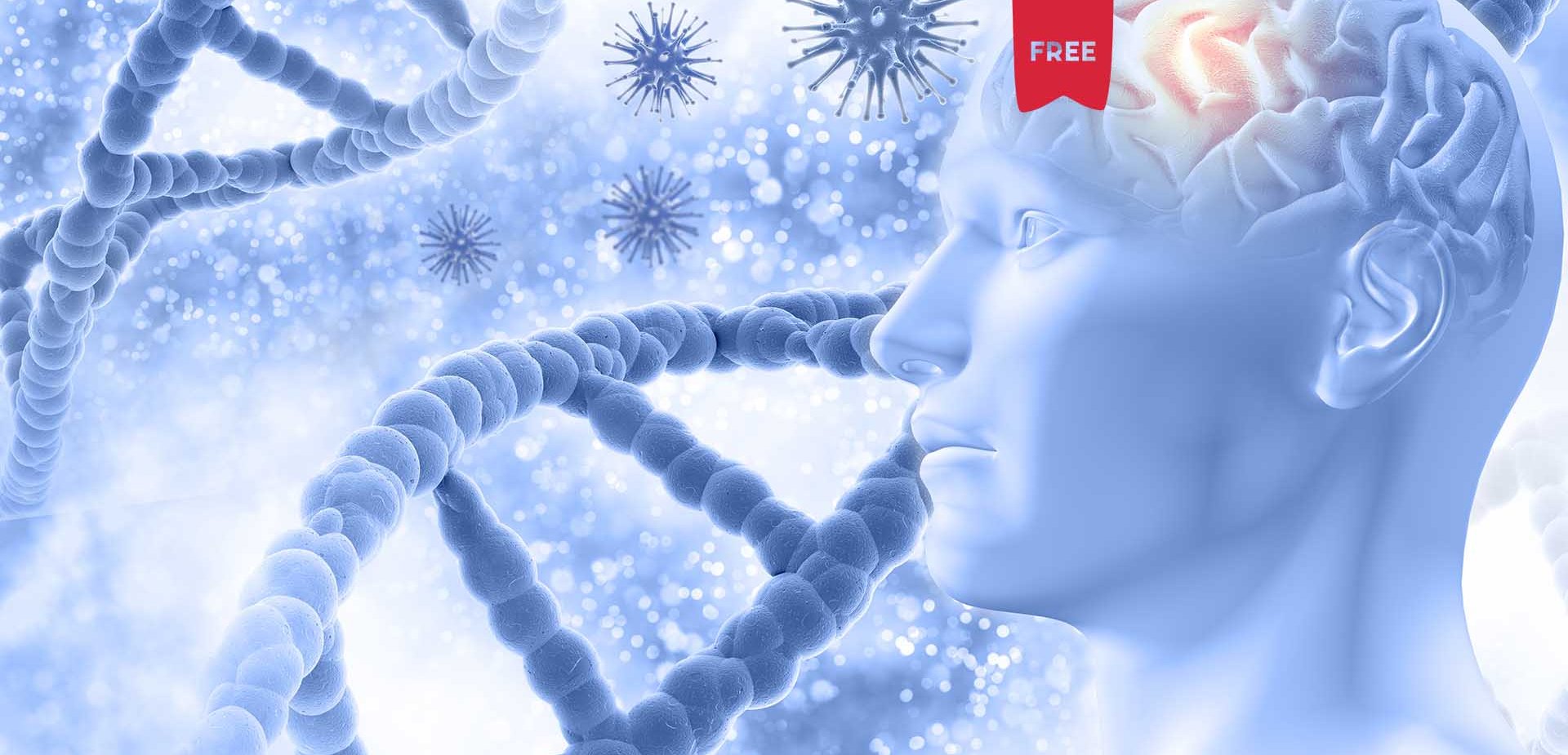 Restaurar as memrias perdidas em pacientes com Alzheimer