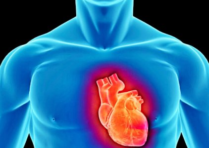 Selo luso em sistema inovador de reabilitao cardaca