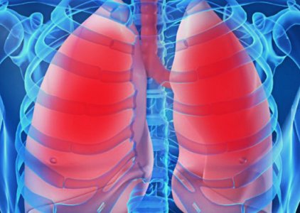 Portugueses avanam no tratamento da fibrose qustica