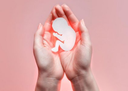 Mortalidade infantil em pases sem Cuidados Paliativos Peditricos (e-book)
